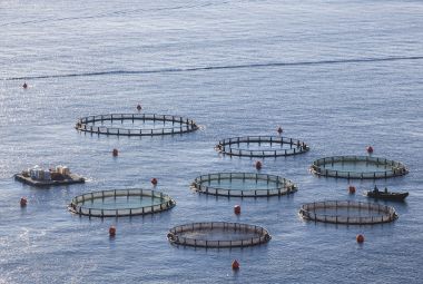 Aquaculture farms in northern Greece